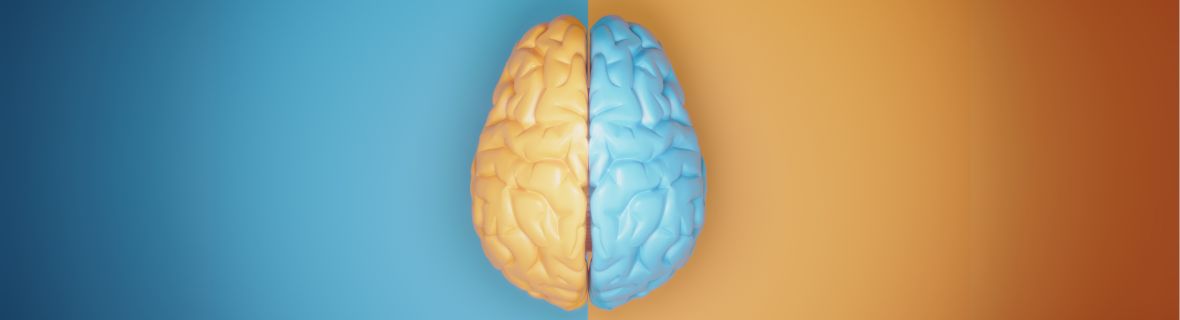 提升英文閱讀理解力:中英文語言差異