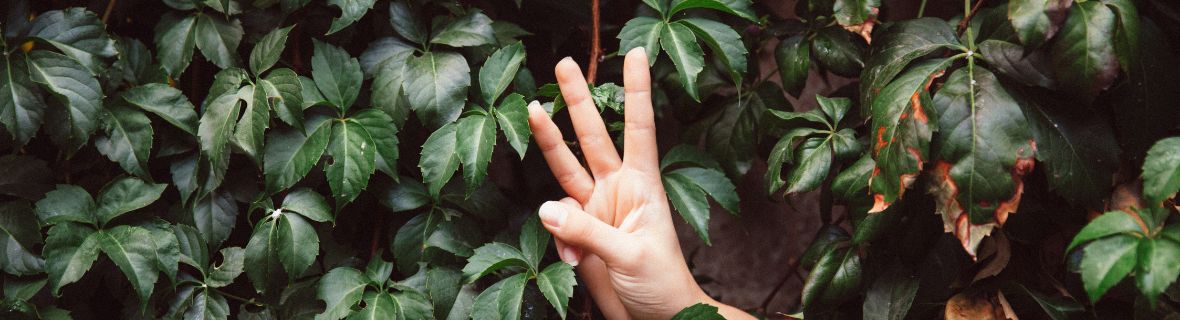 學英文容易搞錯的3個概念