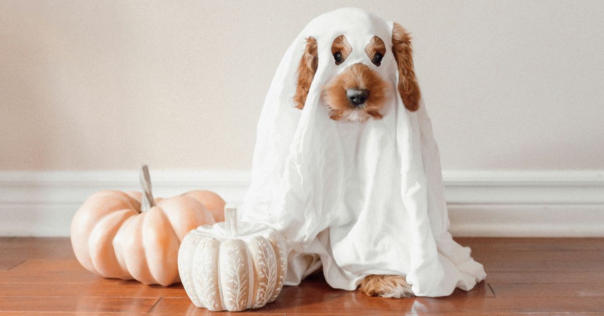 時代國際韓語補習班